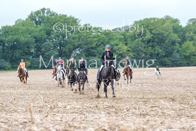 Jagd Perdoel 26 Sony-03332_MarinaHewig | Fotografie, FotoArt, PferdesportArt, Pferdesportfotografie, Landschaftsfotografie, Reisefotografie, Reise, Pferde - Realisiert mit Pictrs.com
