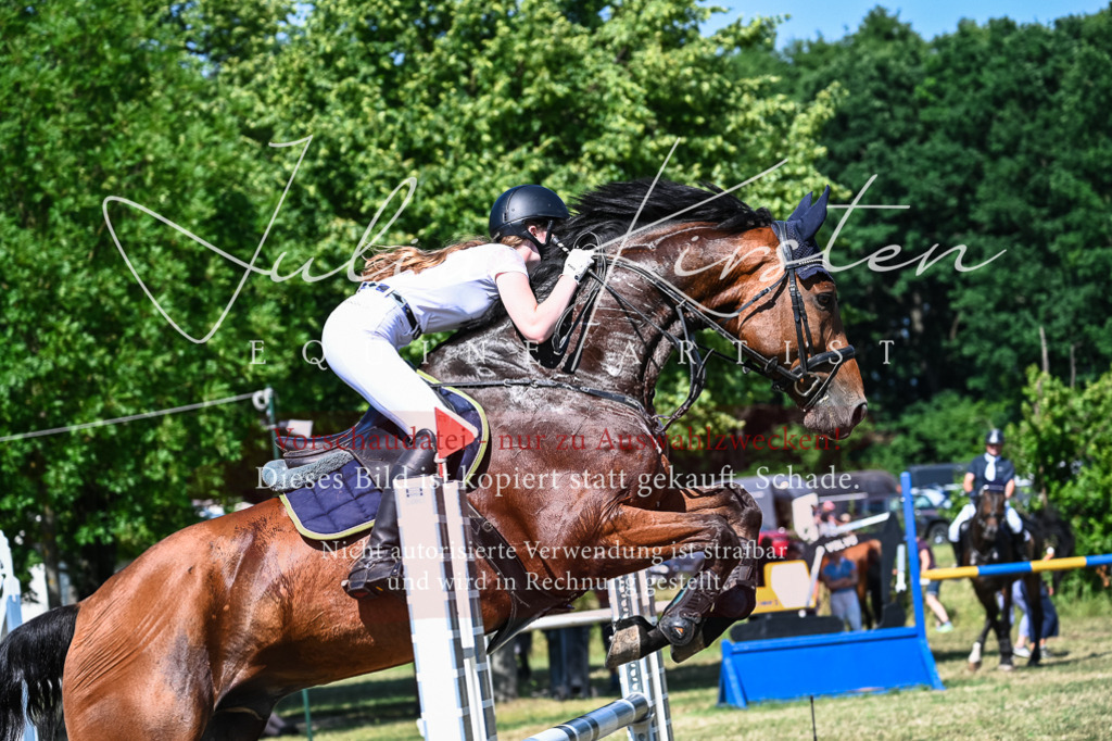 DSC_1678 | Pferde- und Turnierfotografie in Westsachsen. Pferdeportraits, Auftragszeichnungen und intuitive Kunst.