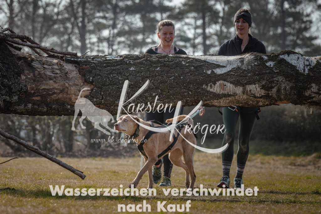 1106_ZZ94620 | kk-dogfotos