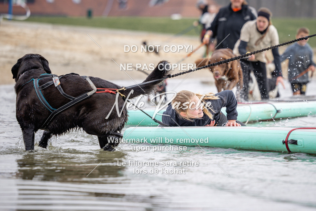 nelerasche_Hulsbeek_Sa1230-1330_133 | nelerasche