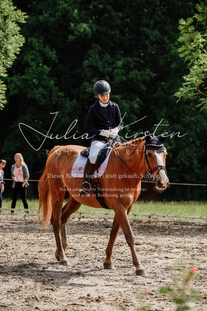 DSC_0052 | Pferde- und Turnierfotografie in Westsachsen. Pferdeportraits, Auftragszeichnungen und intuitive Kunst.