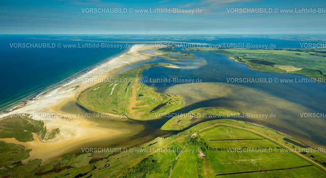 Ostsee16062671Zingst_Bodden | Zingst, Bodden, Naturschutzgebiet, Kleine Werder, Strand, Strandlinie,  Zingst, Ostseeküste,Mecklenburg-Vorpommern, Vorpommern, Mecklenburg-Vorpommern, Deutschland