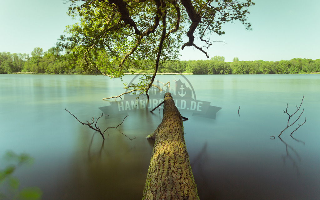 stativkunst-112 | Exklusive Hamburg collagen, tolle Segelbilder und viele weitere tolle Motive auf Leinwand, Poster, Alu-Dibond, u.v.m. findet Ihr bei uns auf hamburgbild.de. Findet Euer Wandbild für Euer Zuhause, Büro oder die  Praxis…. - Realisiert mit Pictrs.com