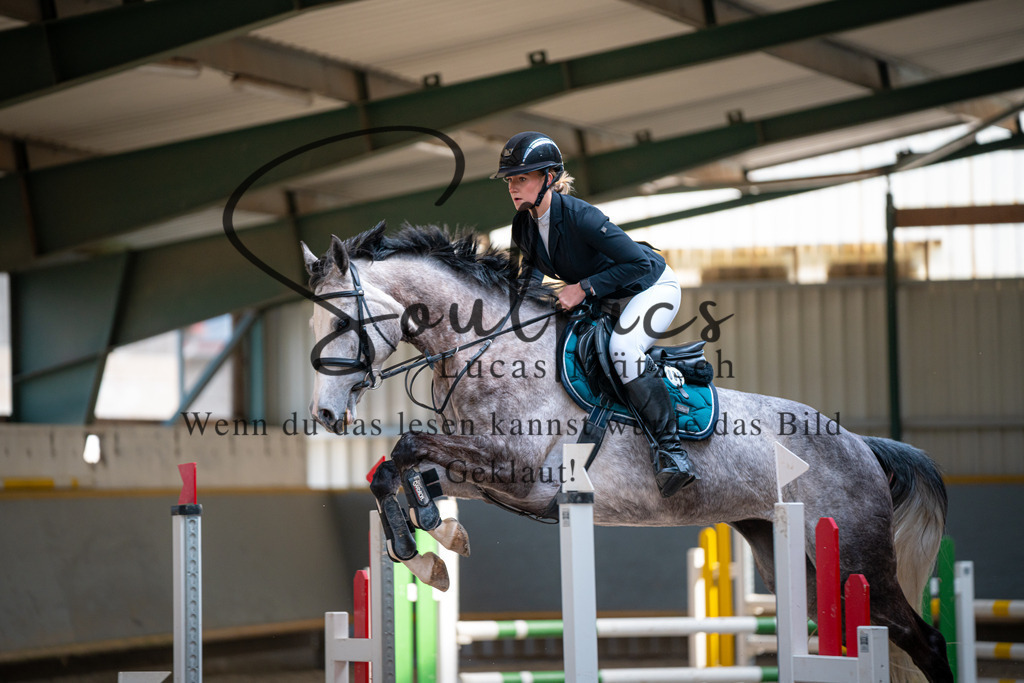 A7V06914 | Pferdefotograf