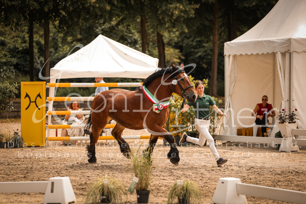 SaSieger00067 | Leoni Ertmer Photography - Realisiert mit Pictrs.com