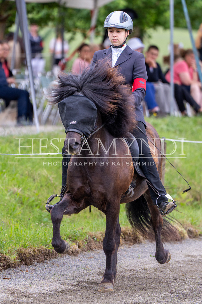 KAI09888 | Ihr sucht einen Fotografen für eure nächste OSI? Ich begleite auch euer Turnier für Islandpferde fotografisch.  - Realisiert mit Pictrs.com