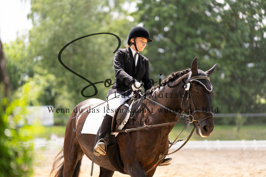 A7506007 | Turnier/Reitfotograf