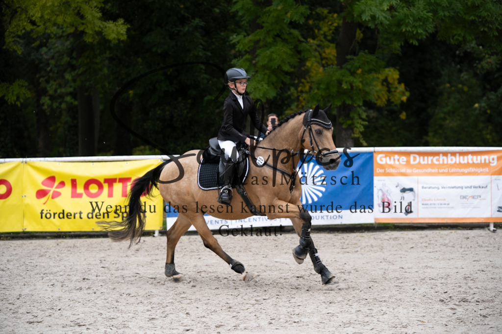 A7V08289 | Pferdefotograf