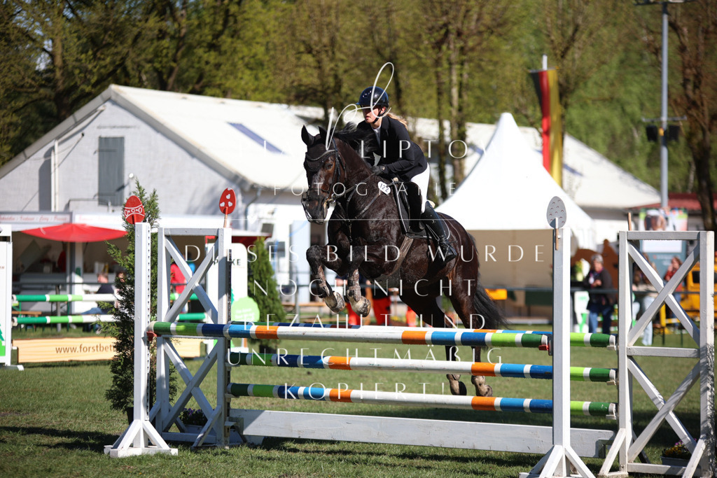 IMGT0376 | pl-fotografie