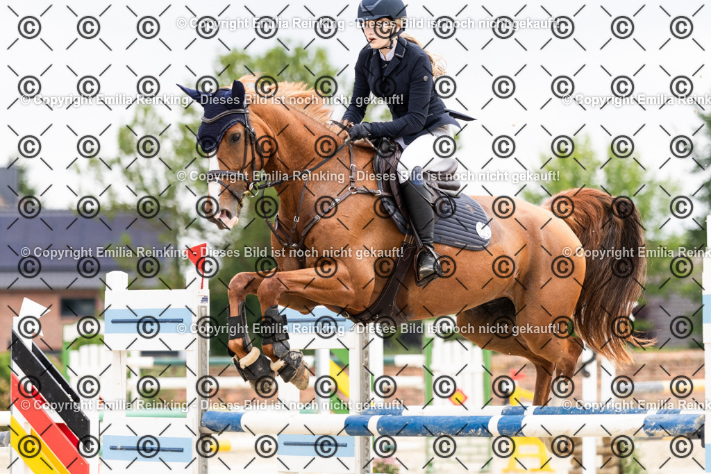 CL5A8209 | Emilia Reinking Fotografie - Realisiert mit Pictrs.com