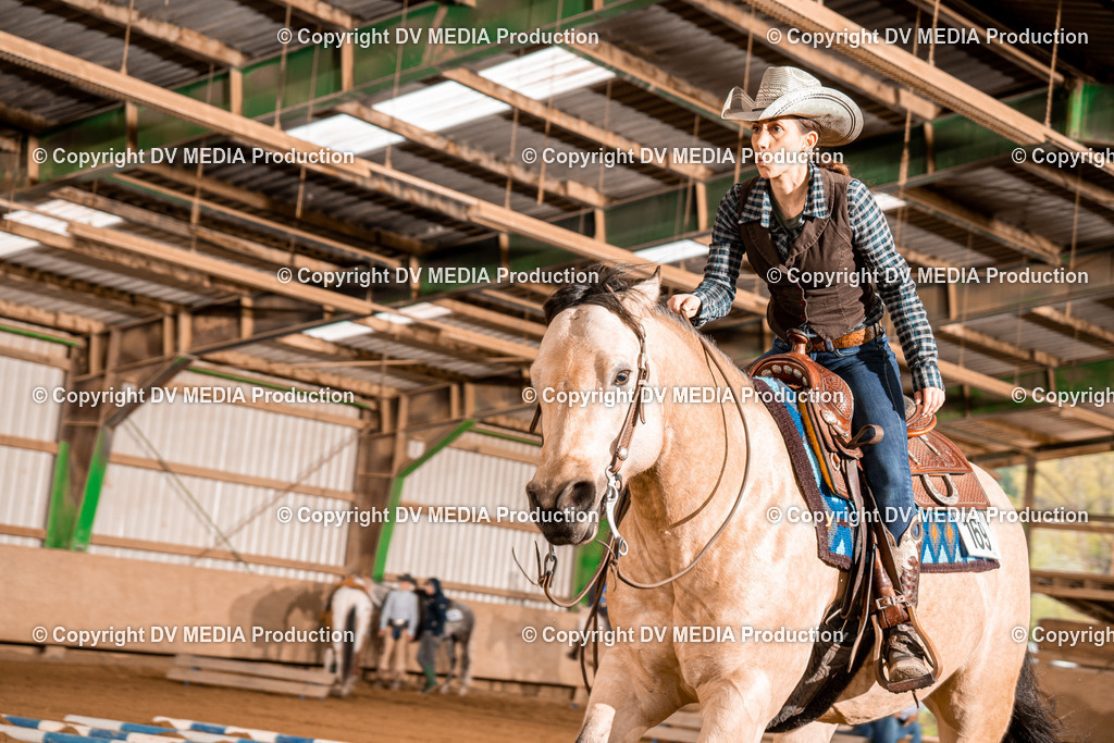 BA400297 | dv-media-shop - Realisiert mit Pictrs.com