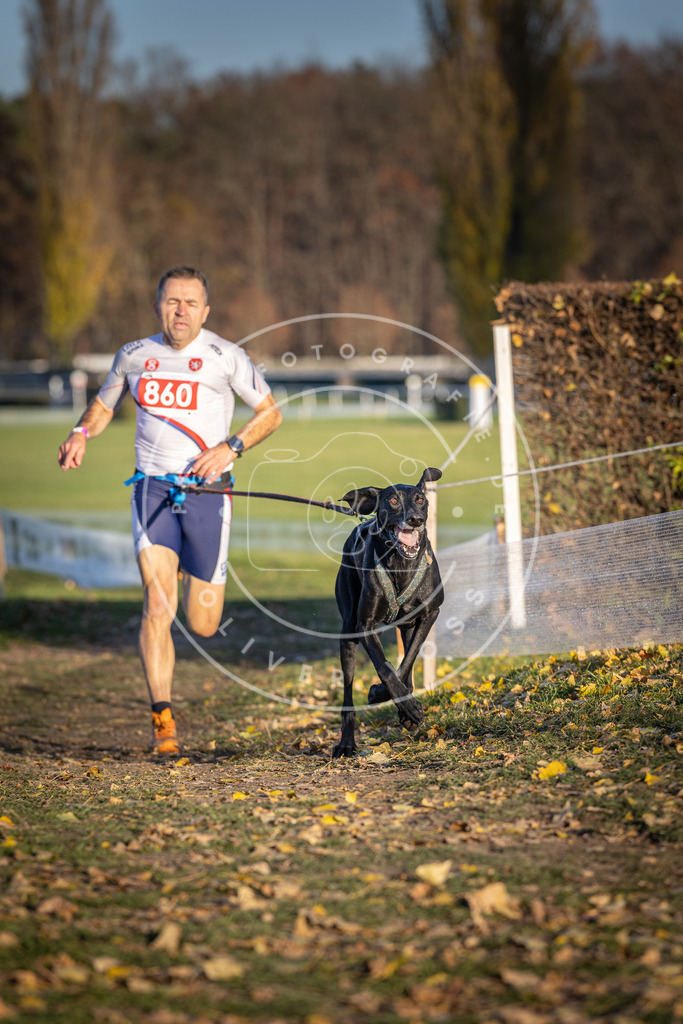CaniXpix_DV3A4029 | Hundefotografie, Tierfotograf, Pfotenfotografie, Fotoshooting Hund, Hunde Portrait, Hundesport, Hundeportraits, Heideshooting, Hunde, Sportfotograf, Hundefotograf, Turnierhundsport, THS,  - Realisiert mit Pictrs.com