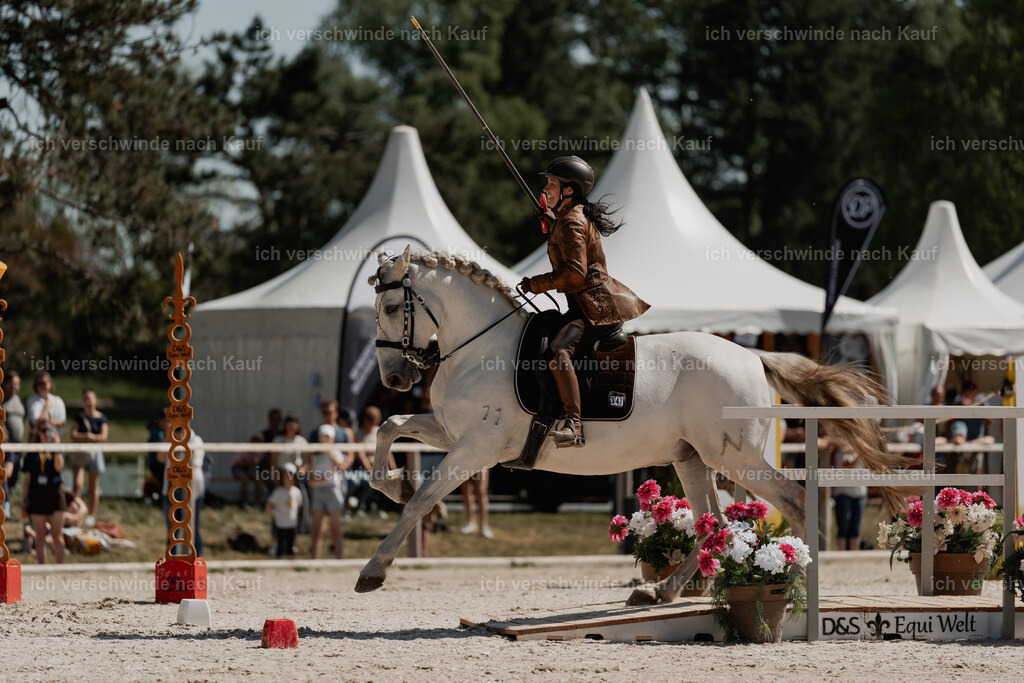 WE_SP_Stoib_347_PI2025_1544 | Pferd International München 2025