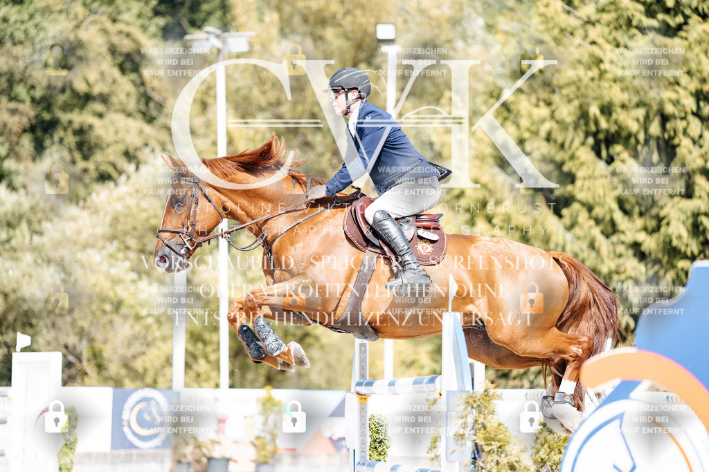 CK905344 | Turnierfotografie Pferdefotografie Trier Rheinland-Pfalz Pferdesport Reitsport Tierfotografie Sportfotografie Pferdevideo Pferdevideografie Equestrianvideography equestrianphotography  - Realisiert mit Pictrs.com