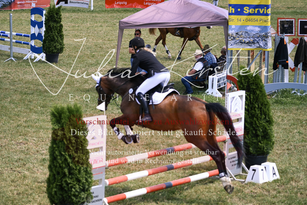 DSC_9881 | Pferde- und Turnierfotografie in Westsachsen. Pferdeportraits, Auftragszeichnungen und intuitive Kunst.