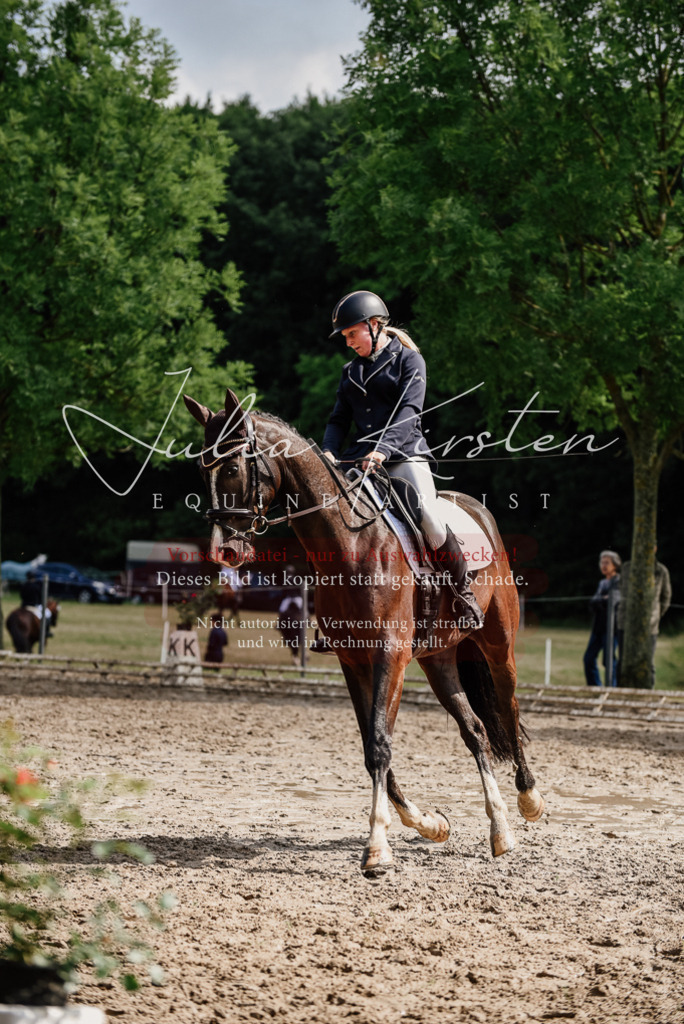 DSC_0079 | Pferde- und Turnierfotografie in Westsachsen. Pferdeportraits, Auftragszeichnungen und intuitive Kunst.