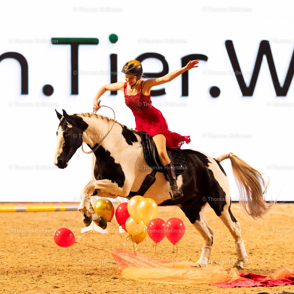 TH_Show Cup_26851 | EQUITANA 2025 am 08.03.25 in Essen