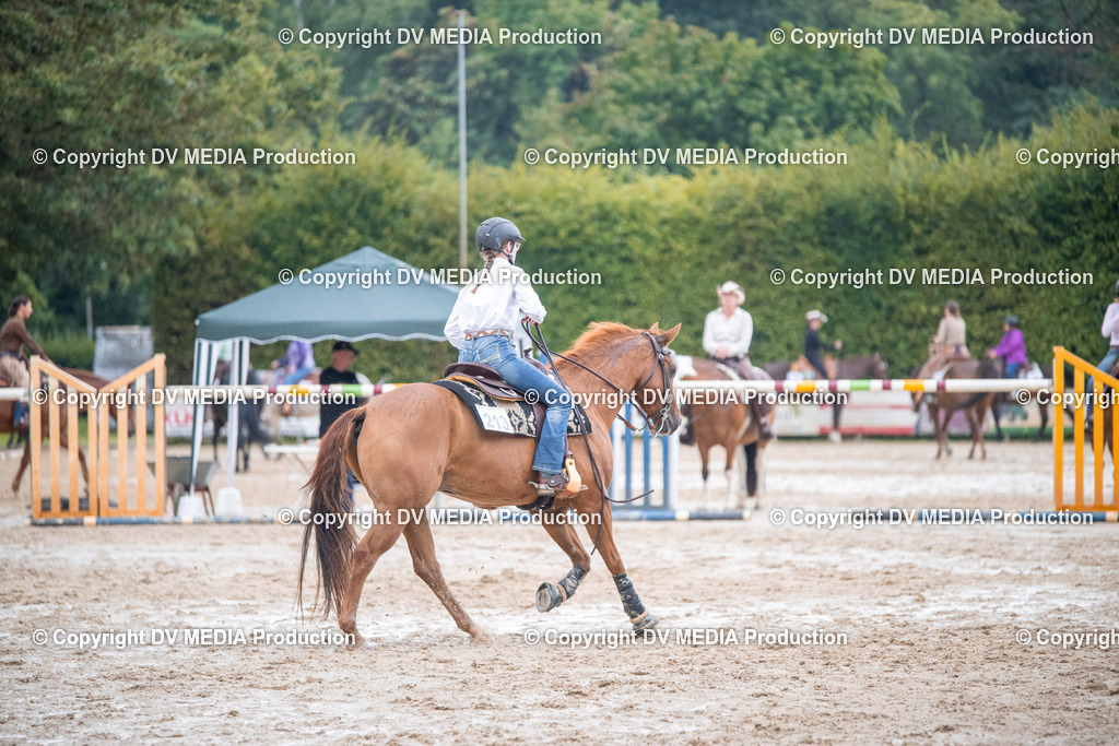 ZS2_4159 | dv-media-shop - Realisiert mit Pictrs.com