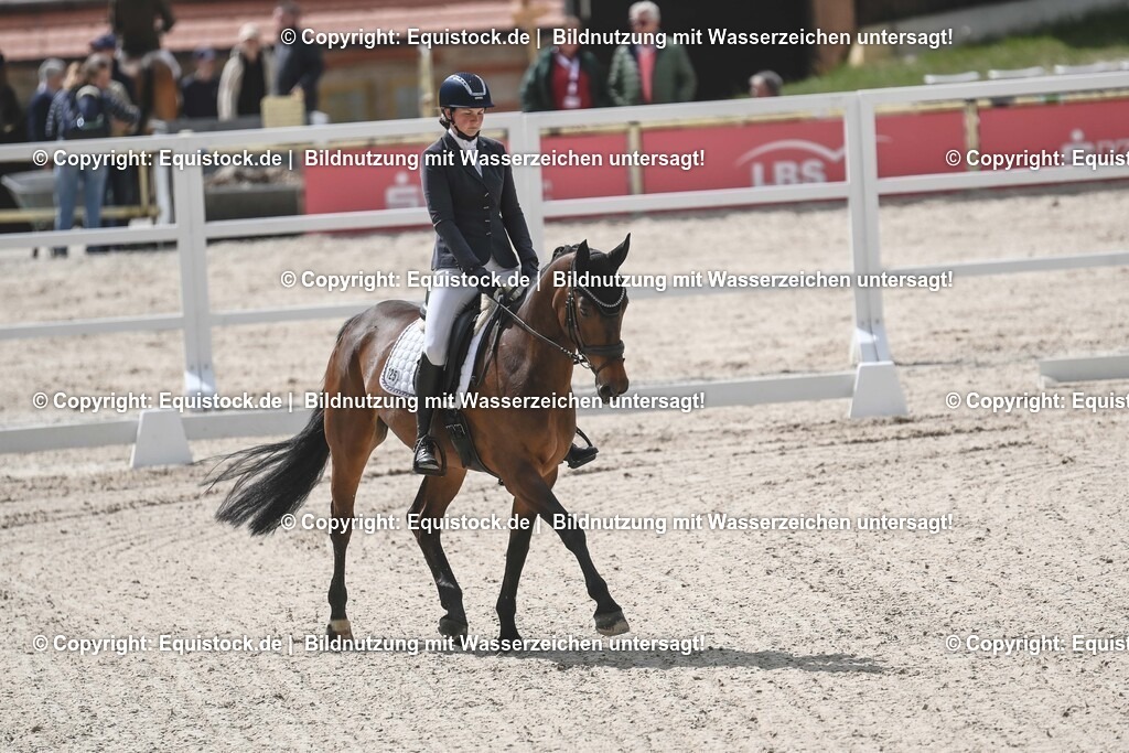 20250516_CCI2_Dressur_0411 | Foto: Thomas Hartig