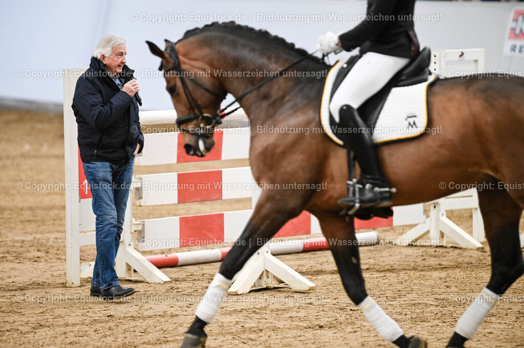 20260307_Hengstvorstellung-Marbach_0059 | equistock