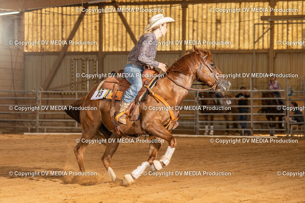 NID02290 | dv-media-shop - Realisiert mit Pictrs.com