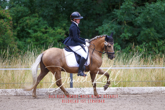 DKP47189 | Turniersportfotografie; Pferdefotografie; Dressurfotografie