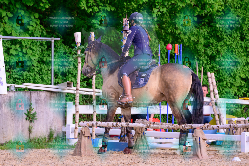 02052026-Giesenbach-03-Speedtrail-1340 | Fokus Hufschlag Fotografie - Realisiert mit Pictrs.com