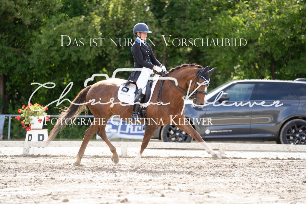DSC08537 | Christina-Kleuver