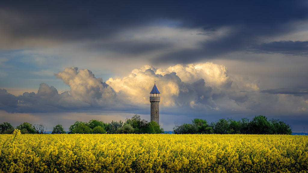 _DSC1425-Enhanced-NR | renerovisanfotoart.com