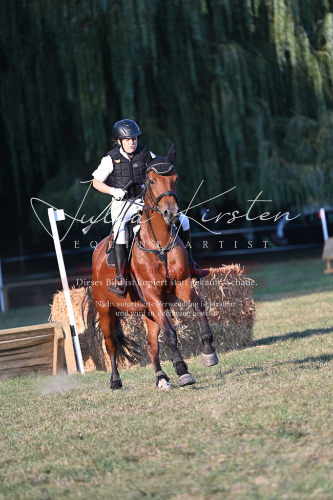 DSC_9220 | Pferde- und Turnierfotografie in Westsachsen. Pferdeportraits, Auftragszeichnungen und intuitive Kunst.