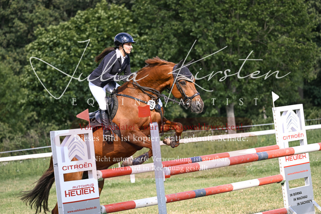 DSC_1375 | Pferde- und Turnierfotografie in Westsachsen. Pferdeportraits, Auftragszeichnungen und intuitive Kunst.