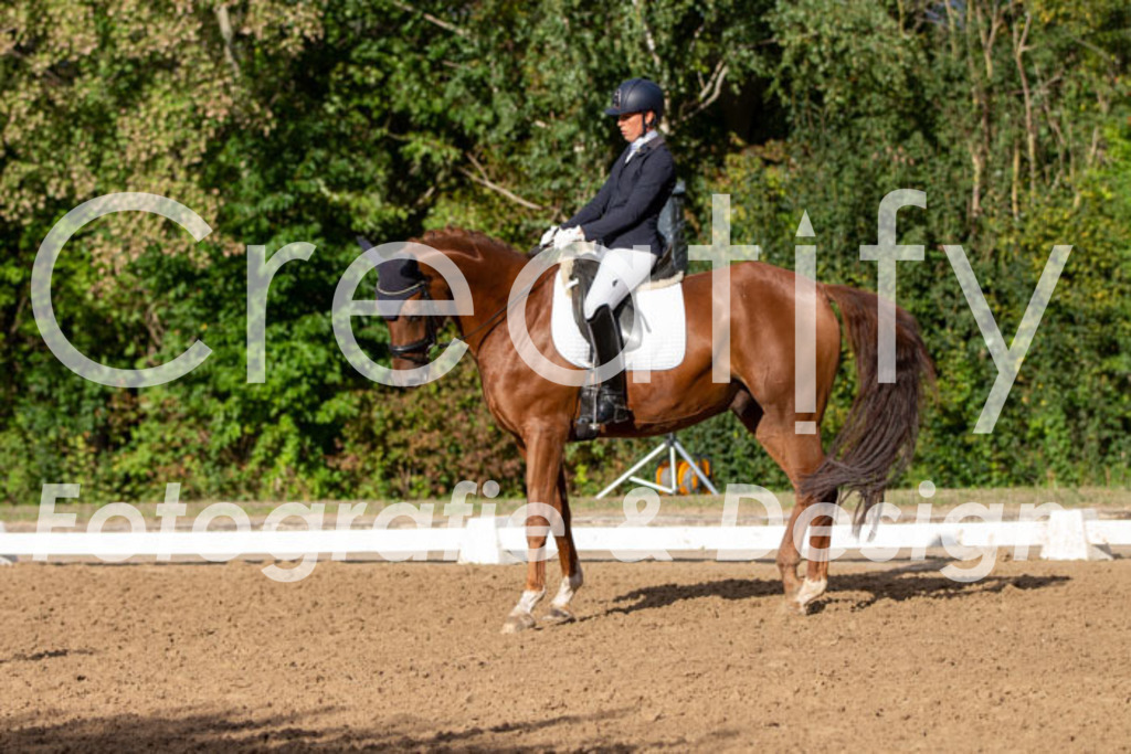 IMG_4723 | Creatify Fotografie