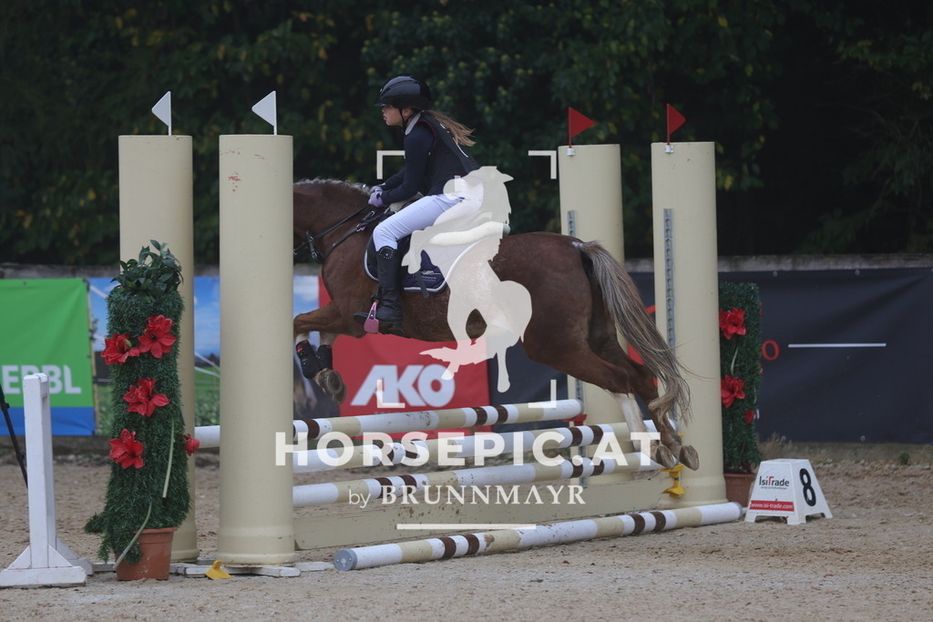 0P6A9571 | Willkommen bei Brunnmayr - Design & Fotografie – Ihrem Spezialisten für Reitturniere und Pferdeveranstaltungen in Oberösterreich, Salzburg und Bayern! Seit über 17 Jahren sind wir leidenschaftlich dabei.