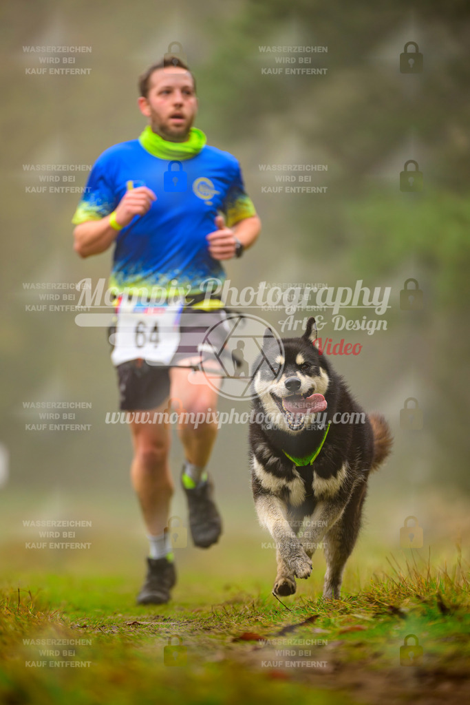 MompixPhotography_Bischwiller2025_Canicross-77 | mompixphotography