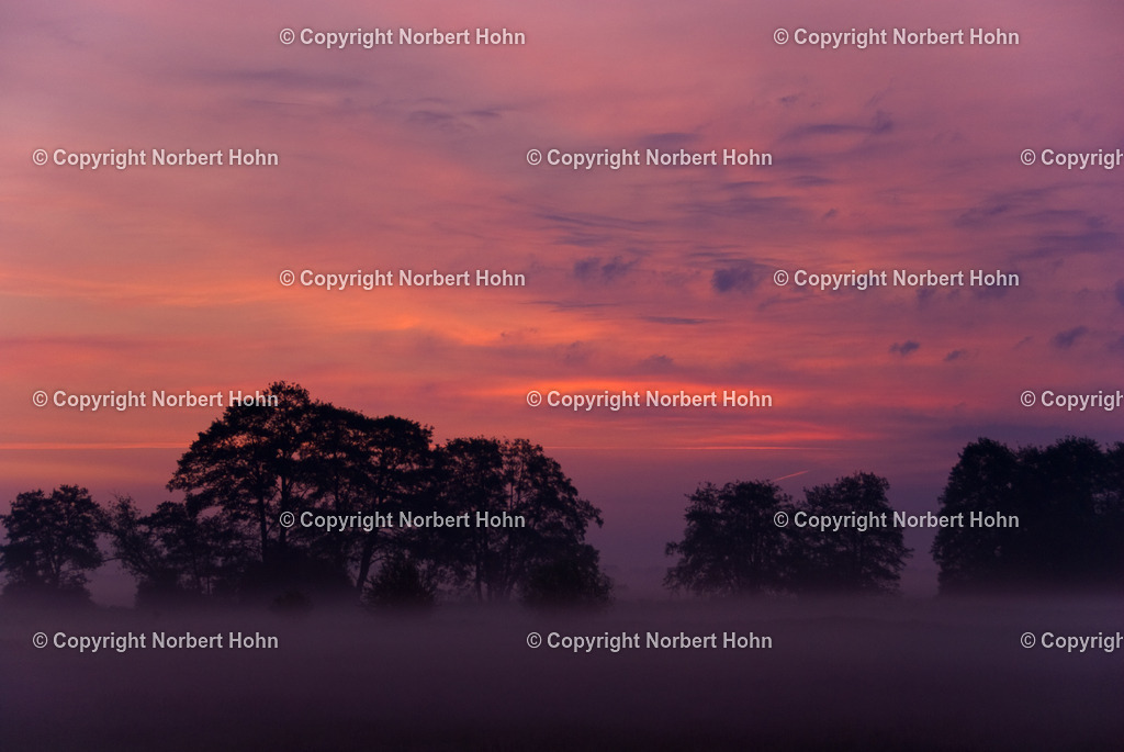 Reisefotografie - Deutschland - Fischerhude | Morgendämmerung im Bremer Land bei Fischerhude. - Realisiert mit Pictrs.com