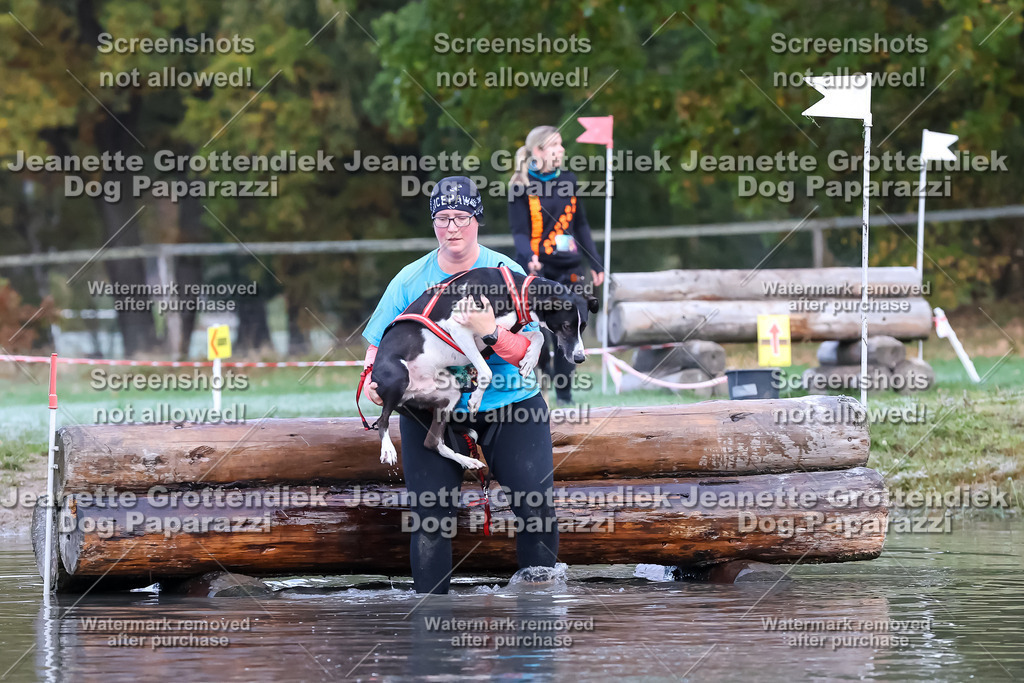 Dog Paparazzi - Strongdog 10-25-6262 | Dog Paparazzi Jeanette Grottendiek Fotografie & Videografie - Realisiert mit Pictrs.com