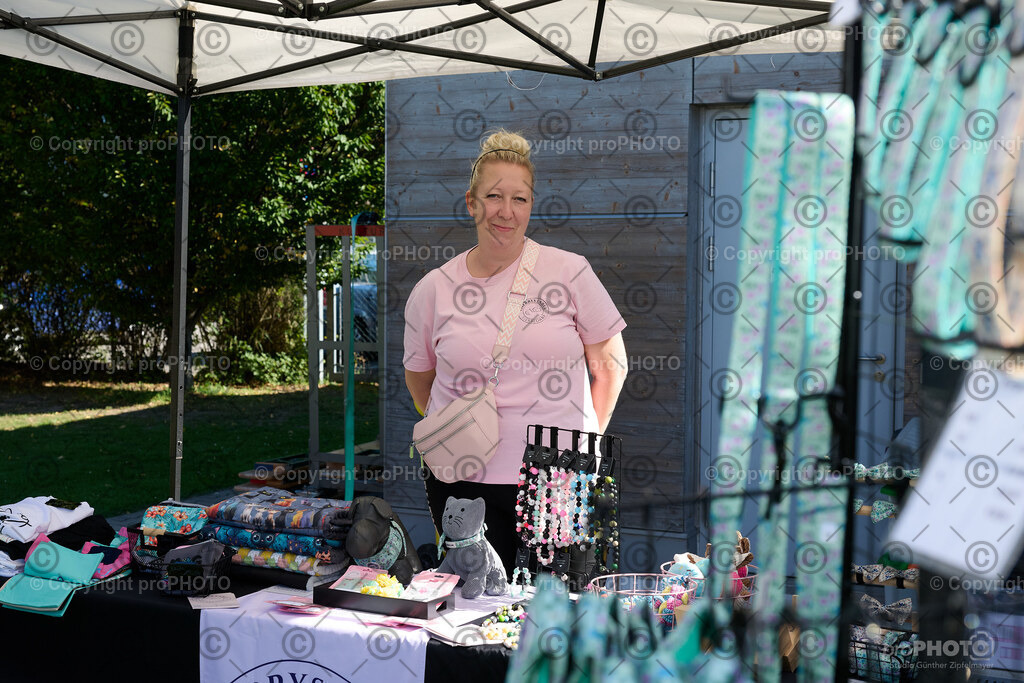 004_202509_4Hundebadetag_NZ9_2065 | proPHOTO - Realisiert mit Pictrs.com