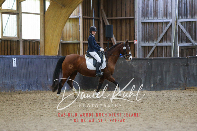 IMG_0634 | Turniersportfotografie; Pferdefotografie; Dressurfotografie