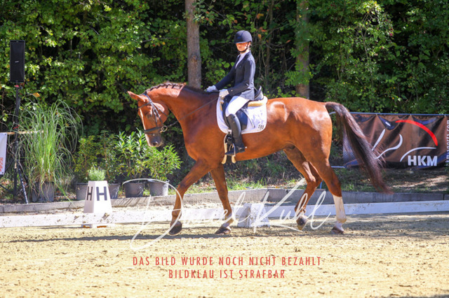 DKP42038 | Turniersportfotografie; Pferdefotografie; Dressurfotografie