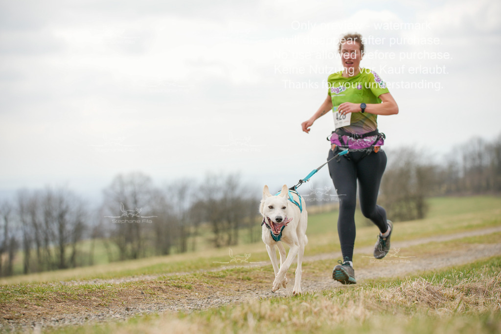 CaniXRunSA-160 | stephaniefillaphotographie - Realisiert mit Pictrs.com