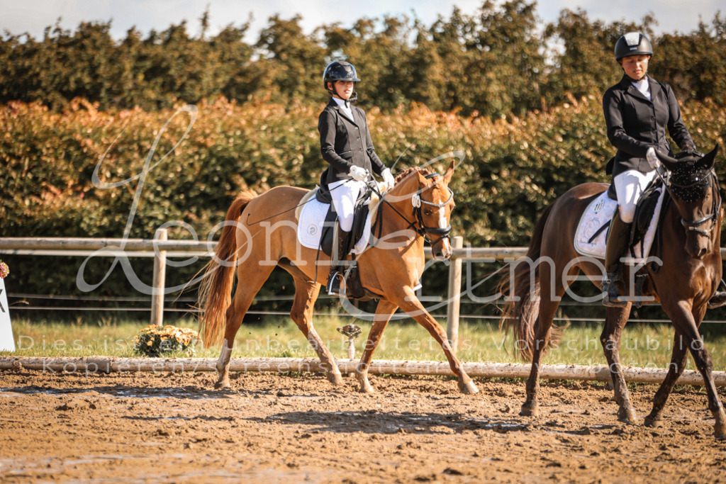 07.SoDrE00329 | Leoni Ertmer Photography - Realisiert mit Pictrs.com