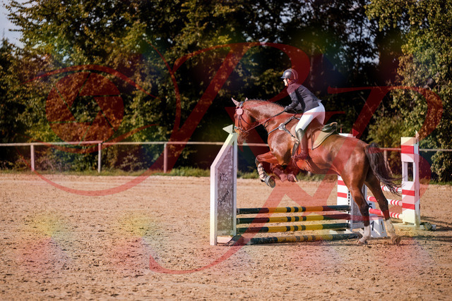 2026_10_03_Siefer-Hof_155525_Z81_74661532 | Professionelle Reitsport-, Turnier- und Eventfotografie von Robert Broda. Galerien mit ausgewählten und bearbeiteten Bildern direkt online ansehen und bestellen.