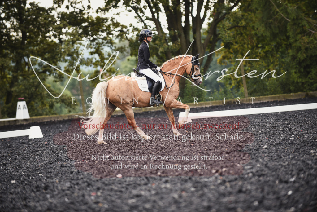 DSC_3829 | Pferde- und Turnierfotografie in Westsachsen. Pferdeportraits, Auftragszeichnungen und intuitive Kunst.