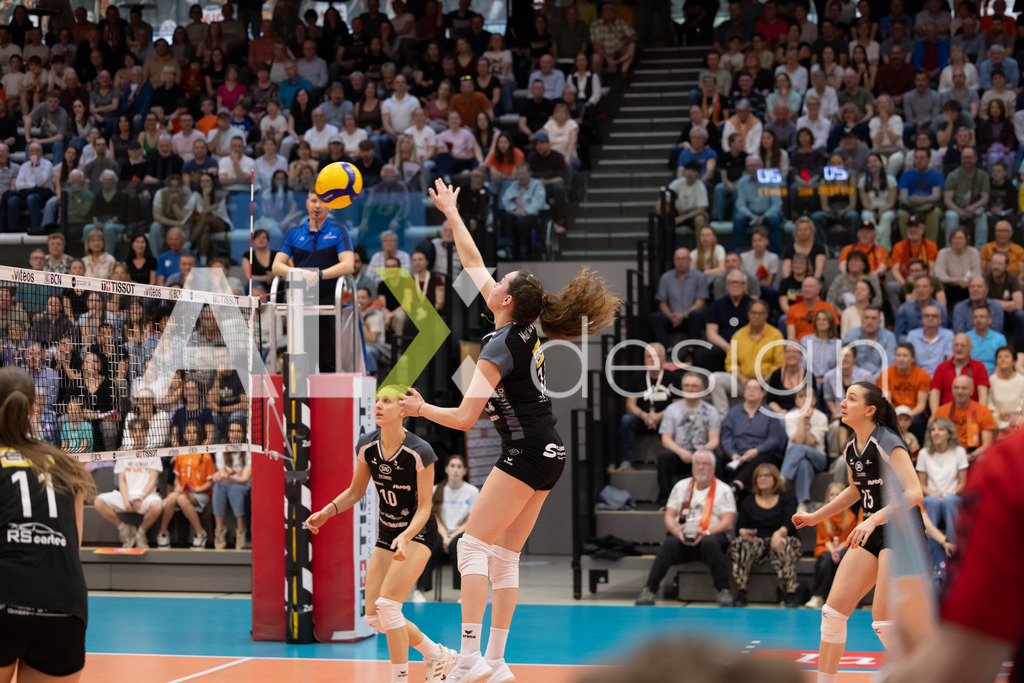 Volleyball I Frauen I Saison 2025-2026 I Volleyball NLA | Women I  Playoffs Finals 1/5 I viteos NUC - VC Kanti Schaffhausen I 06.04.2026 | 14 Josipa Marković (HR) (VC Kanti Schaffhausen) – Aussen - Realisiert mit Pictrs.com