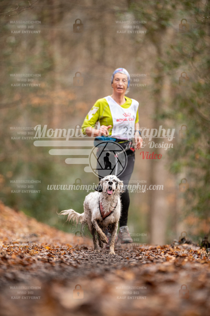 SPA_2023_DIM_CCL-119 | PayLife