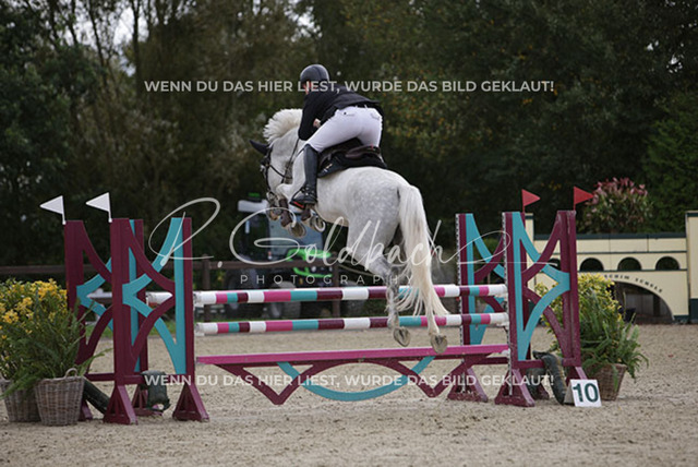 1J2A1520Klas-Kristoff Kudlinski_ Murphy me BE_ Kn758_ Havekost | Foto- und Videografie für alles rund ums Pferd. Hochwertige Bilder und Videos vom Spring- und Dressurreiten, Voltigieren & mehr. Jetzt aktuelle Veranstaltungen und Preise im Shop ansehen. - Realisiert mit Pictrs.com