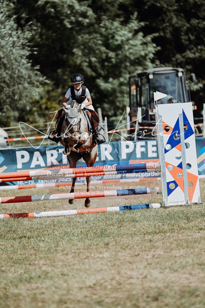 DSC_9751 | Pferde- und Turnierfotografie in Westsachsen. Pferdeportraits, Auftragszeichnungen und intuitive Kunst.