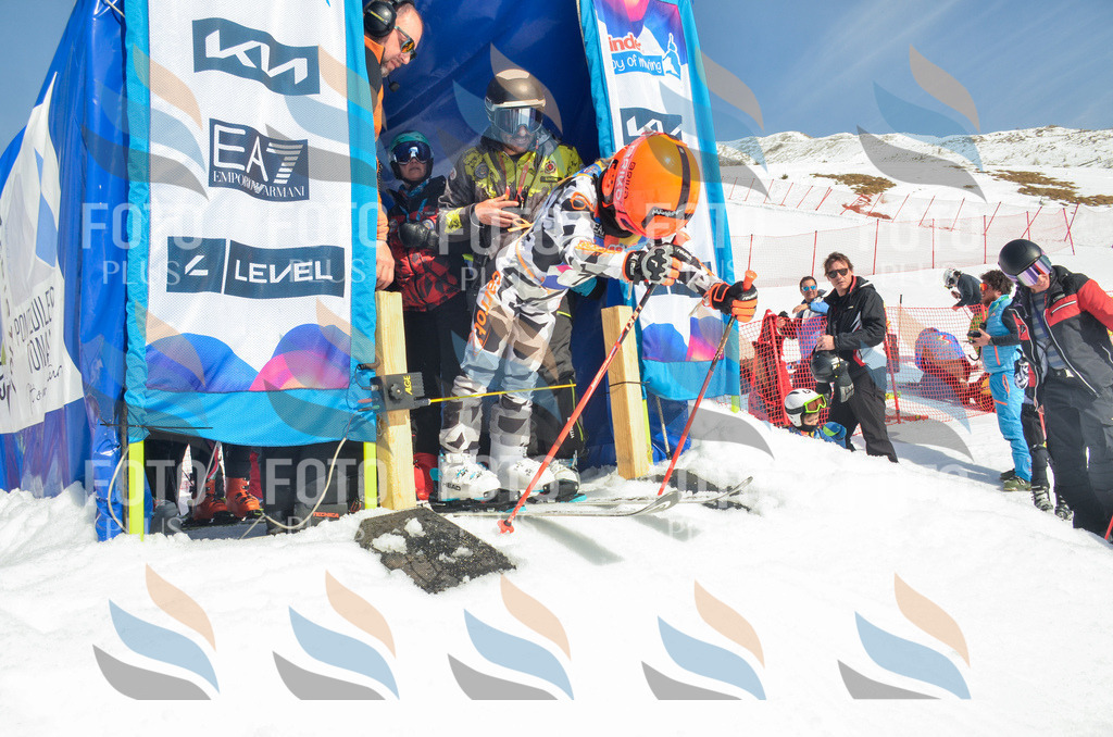 _ELE5541 | holidayphoto