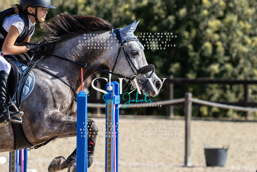 IMG_6325 | s-jay-photography - Realisiert mit Pictrs.com