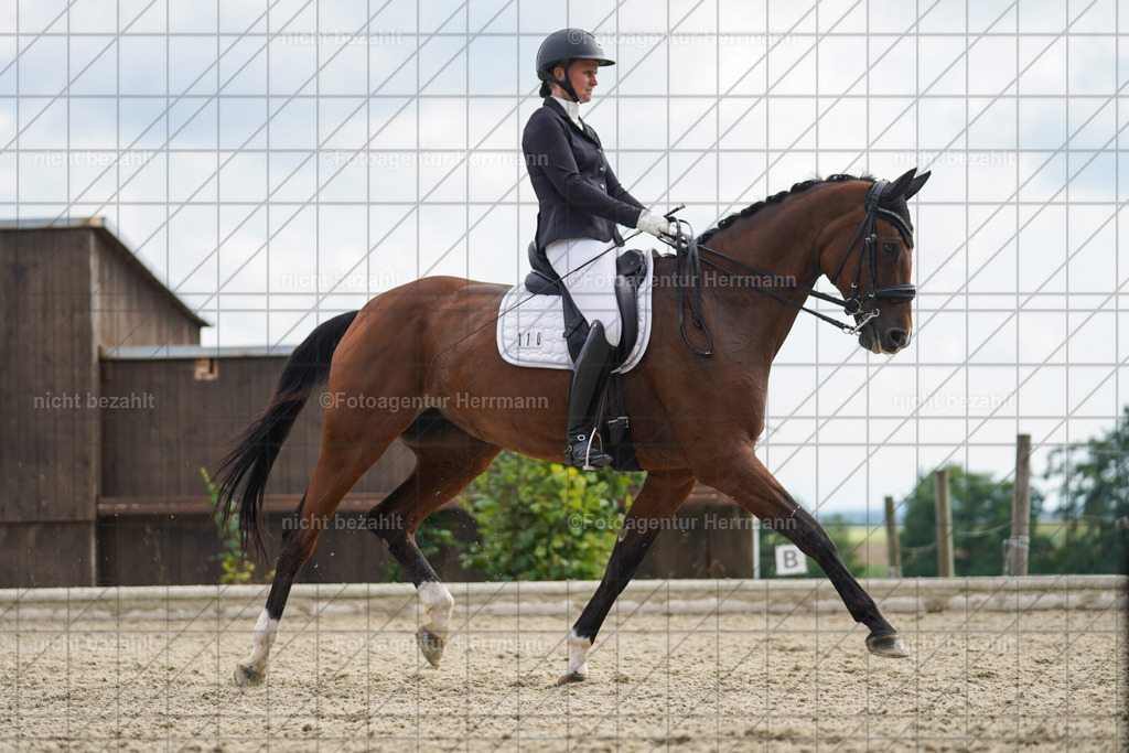 20230826-FAH06190 | Forstinning, 2023, Dressurturnier, Turniersportbilder, Turnierfotografen Bayern, Fotoagentur Herrmann, Reitsportfotografie, Turnierbilder